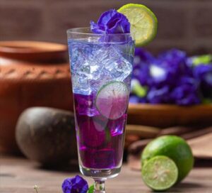 Mojito Violette